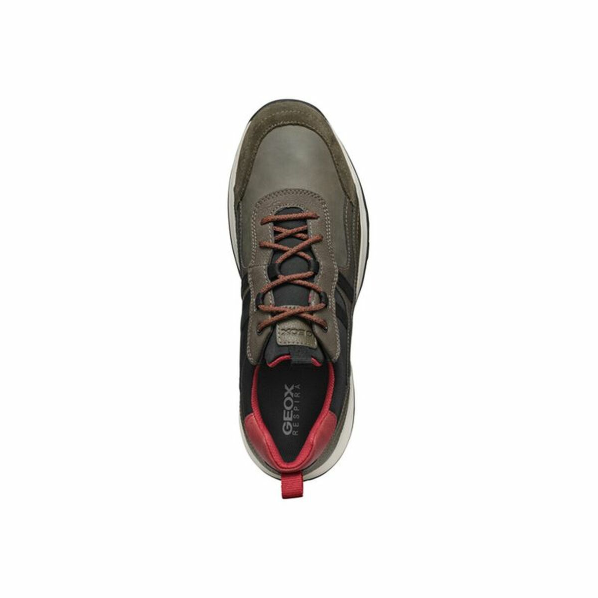 Zapatillas Casual Hombre Geox Terrestre Marrón